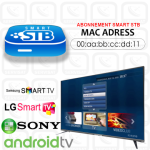 IPTV SMART STB 12 MOIS 